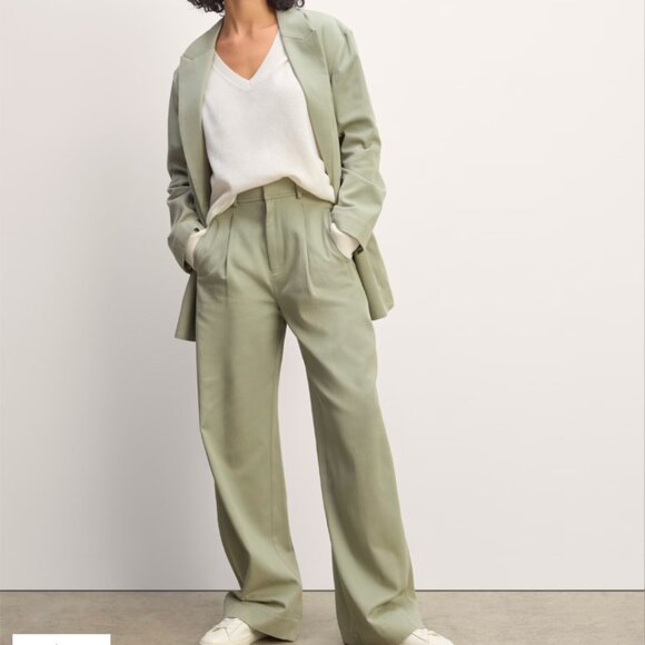 Everlane Pants - Everlane draper pleated pant in seagrass